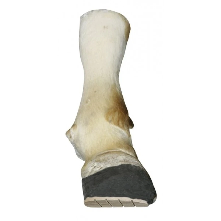 Bloczek drewniany do naprawy kopyt i racic