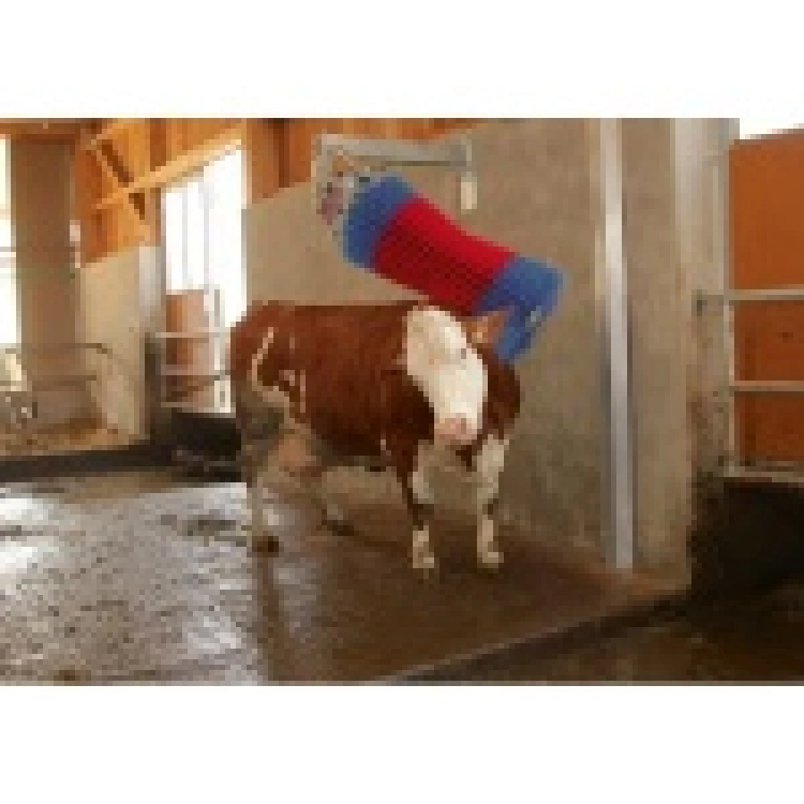 Czochradło automatyczne HAPPYCOW MiniSwing, Kerbl