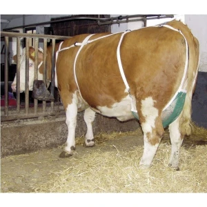 Siatka na wymiona, duża, z pasem naszyjnym (L)