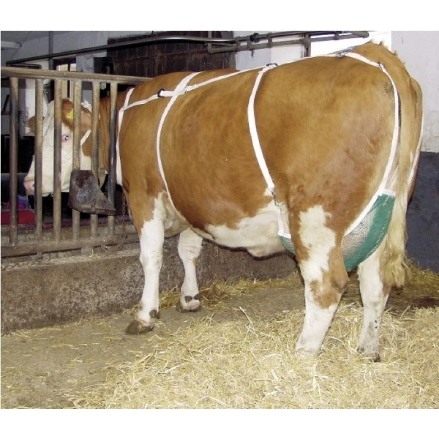 Siatka na wymiona, duża, z pasem naszyjnym (L)