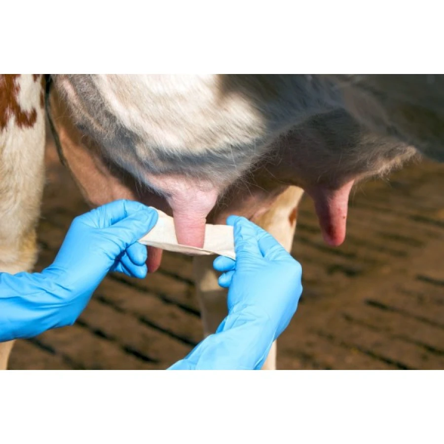 Bandaż do wymion 6cm x 5m KERBL