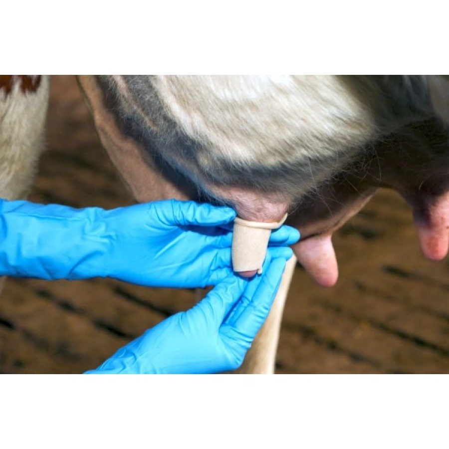 Bandaż do wymion 6cm x 5m KERBL