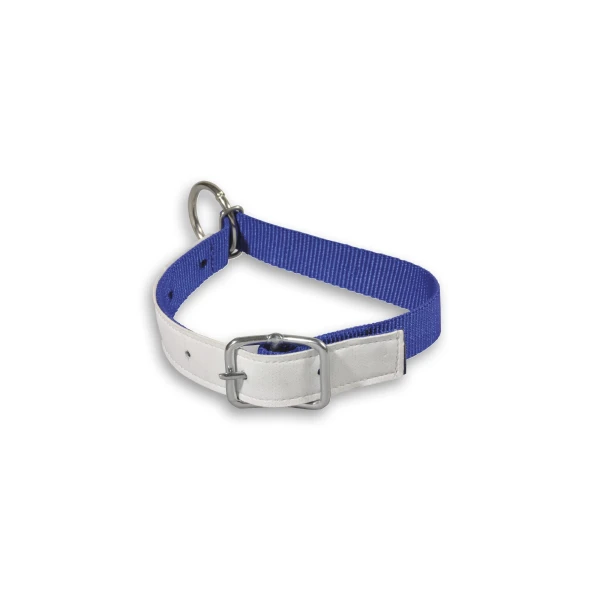 Obroża dla  psa z D-ring 42 cm  x 2,5 cm, niebieska