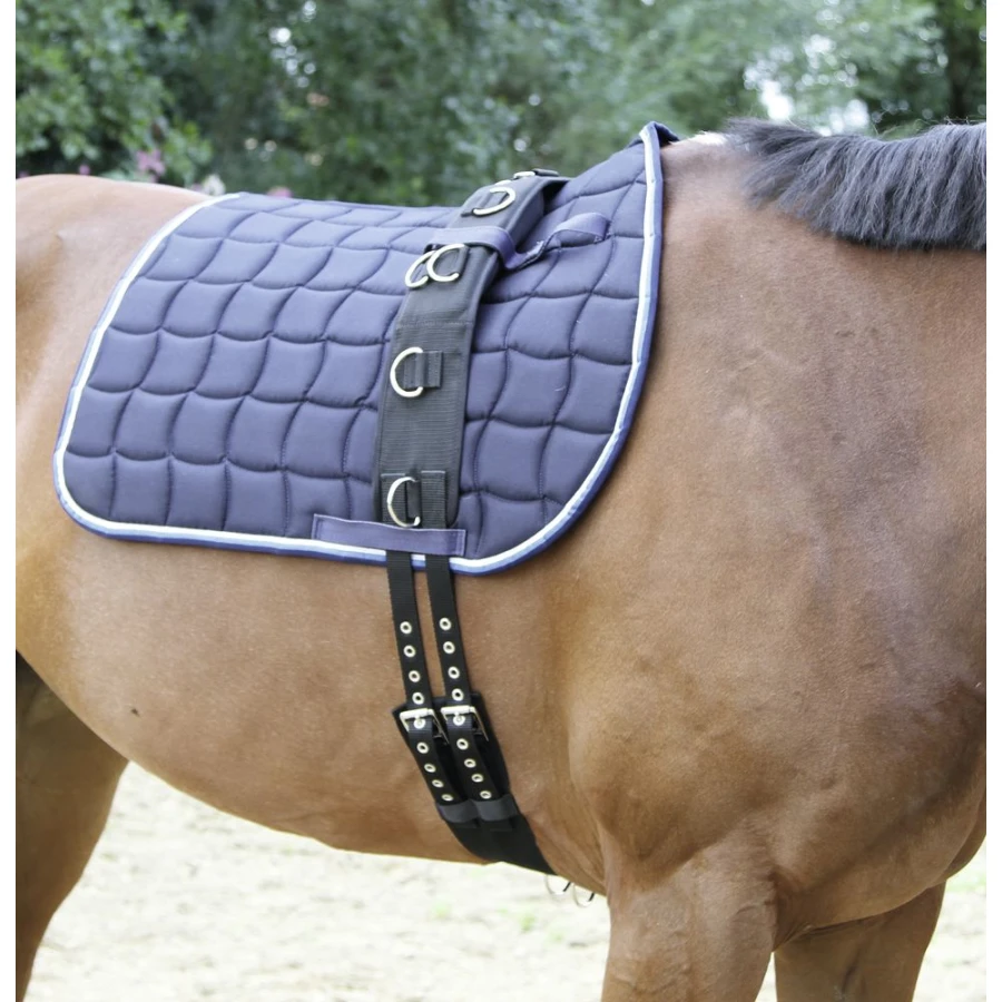 Pas do lonżowania, roz. Pony, Covalliero