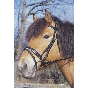 Ogłowie Standard (cob) czarny