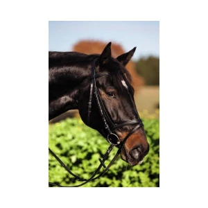 Ogłowie Standard (full) czarny