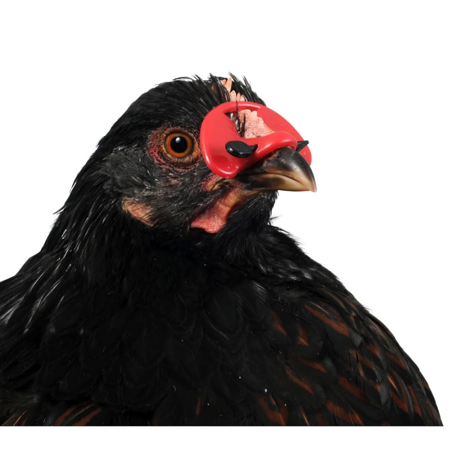 Osłonka na dzioby z 25 szt.szpilkami