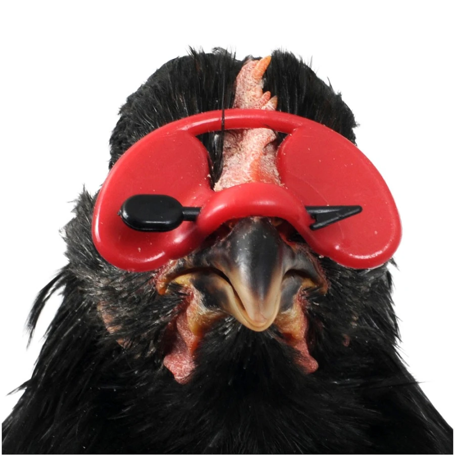 Osłonka na dzioby z 25 szt.szpilkami