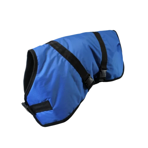 Derka dla cielaka PREMIUM  74cm,  kolor niebieski