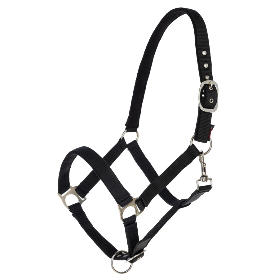 Kantar dla konia Dexter, czarny, roz. 4, Xfull, Covalliero