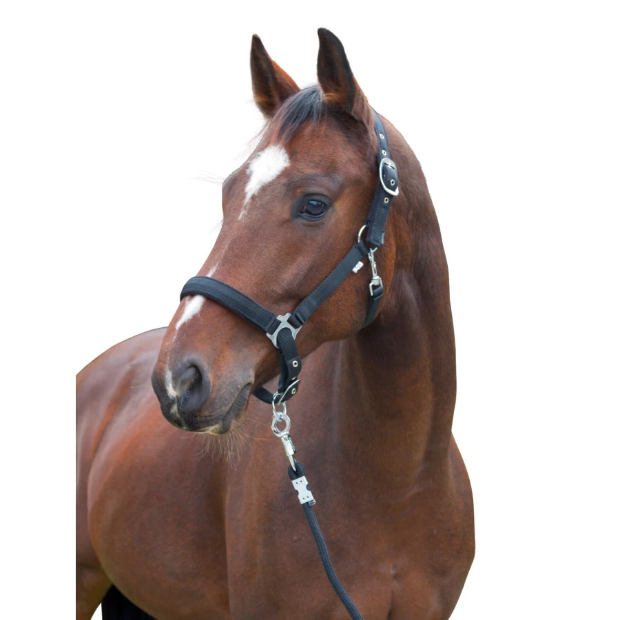 Kantar dla konia Dexter, czarny, roz. 4, Xfull, Covalliero