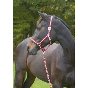 Kantar dla konia Hippo, bordowo/beżowy, roz.00  Shetty , Covalliero