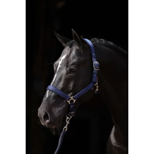 Kantar dla konia Dexter, niebieski, roz. 00 Foal, Covalliero