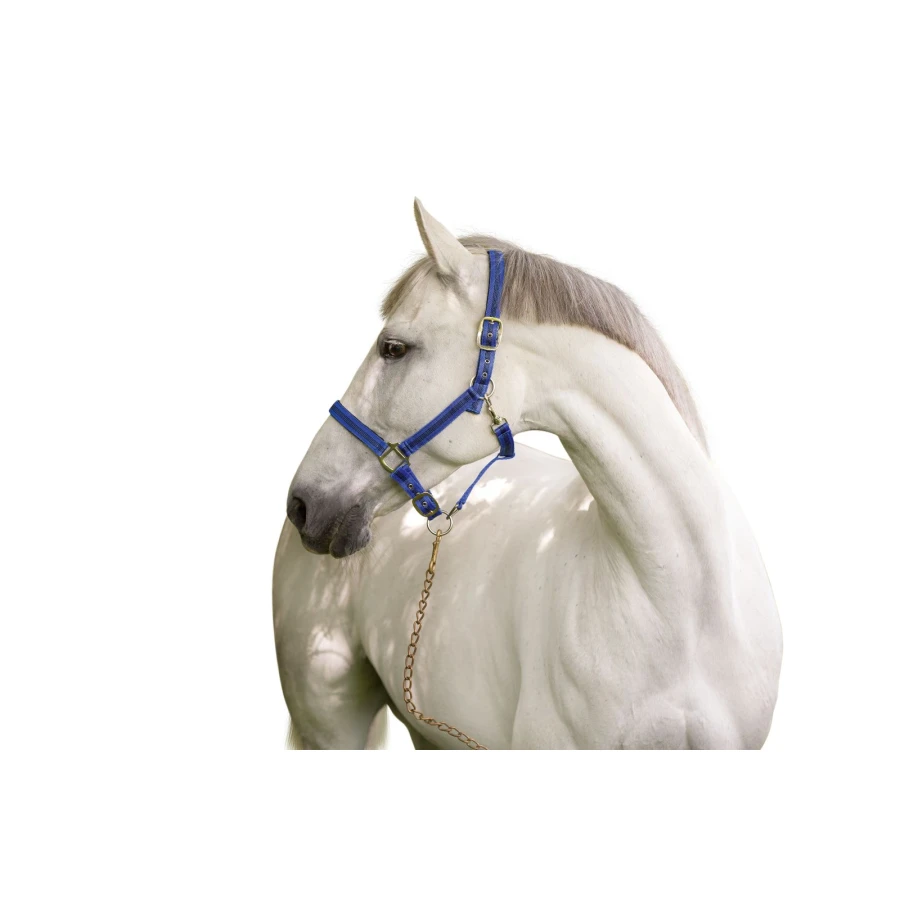 Kantar Mustang błękitno-czarny roz.3 Full