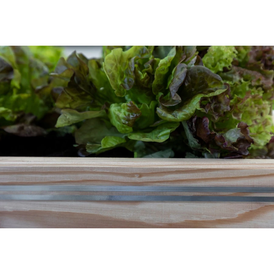 Taśma ogrodzeniowa do elektrycznego ogrodzenia przeciw ślimakom SnailStop, 10 m, Kerbl