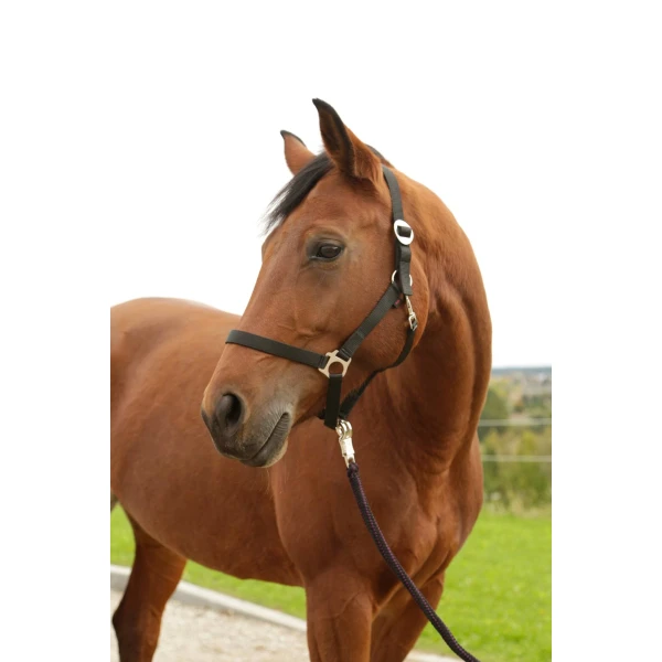 Kantar nylonowy HIPPO, Foal,  roz. 00, czarny