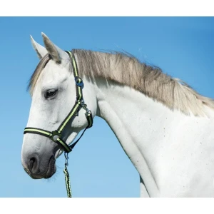 Kantar nylonowy HIPPO roz. 1, antracyt/jasnozielony