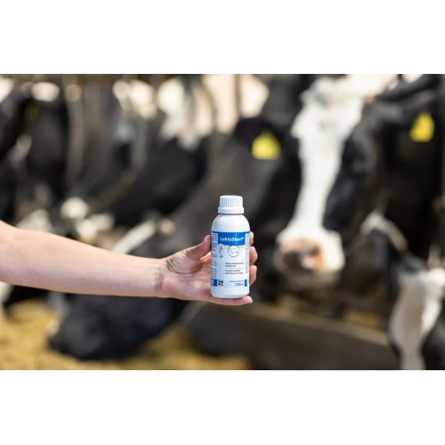 LaktaStart NG, 200 ml, Pójło dla krów bezpośrednio po porodzie,  Agrochemica