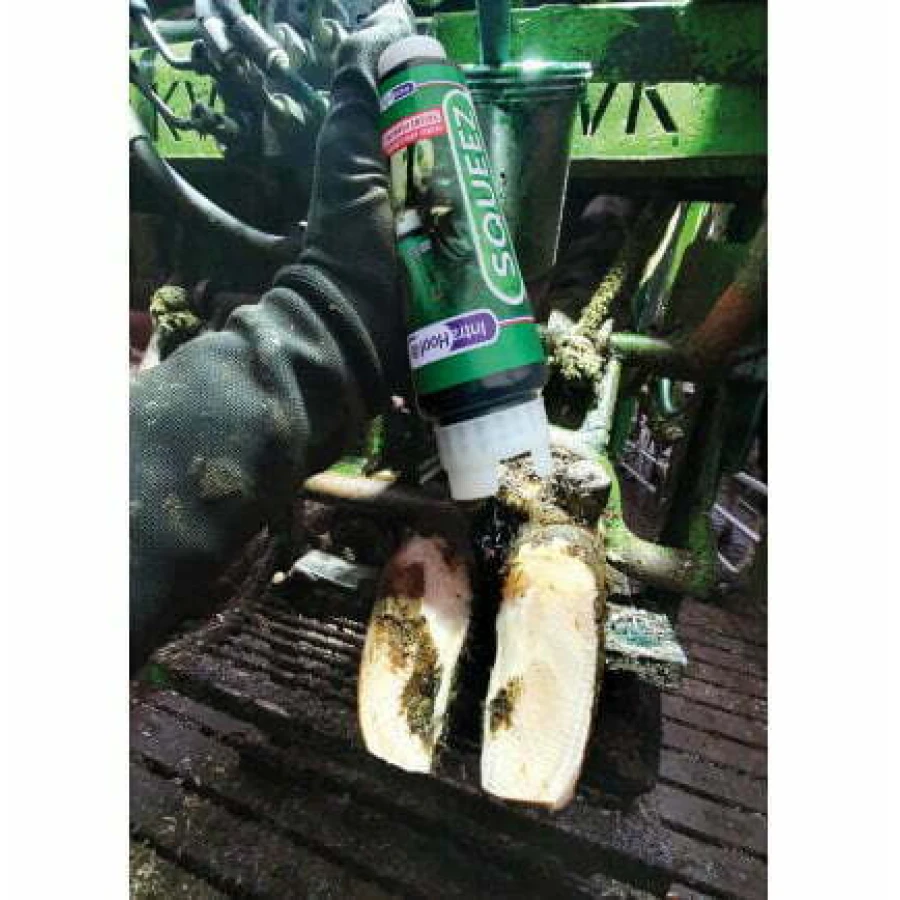 Intra Hoof-fit Squeez 550 ml, IntraCare