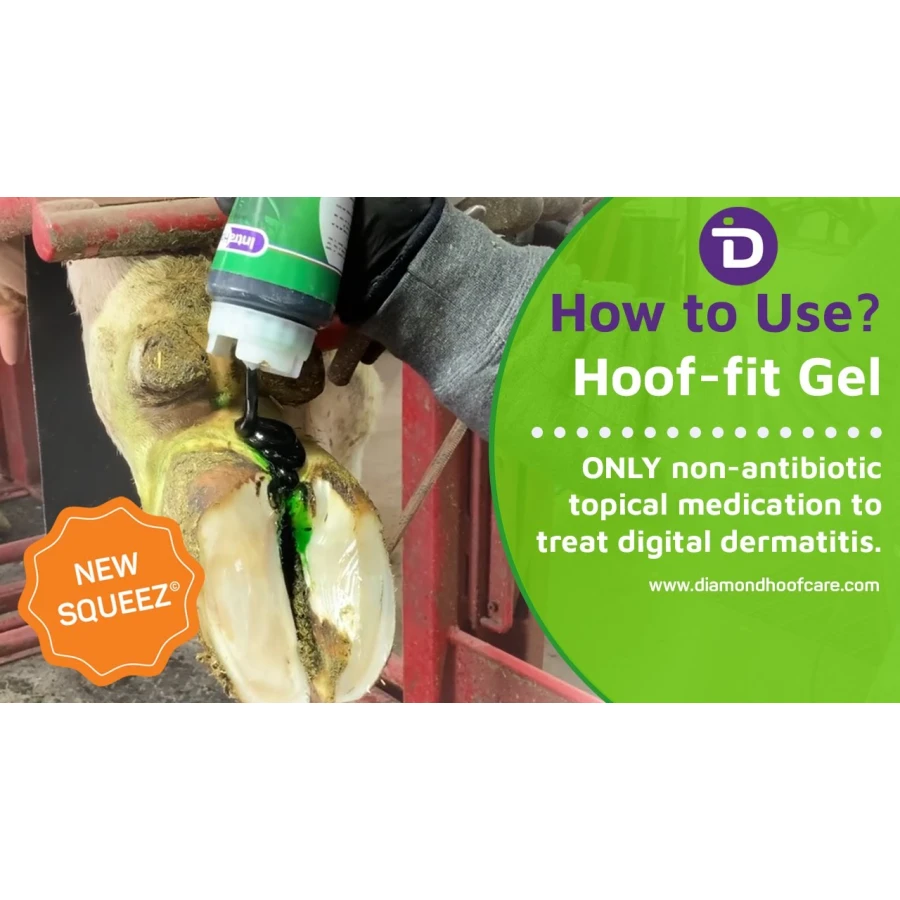 Intra Hoof-fit Squeez 550 ml, IntraCare