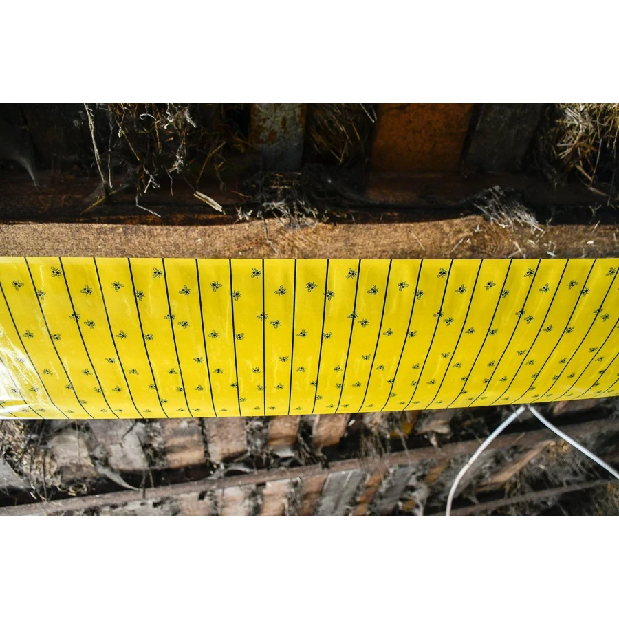 Lep na muchy w rolce, FlyMaster, 10 m x 40 cm, Cit