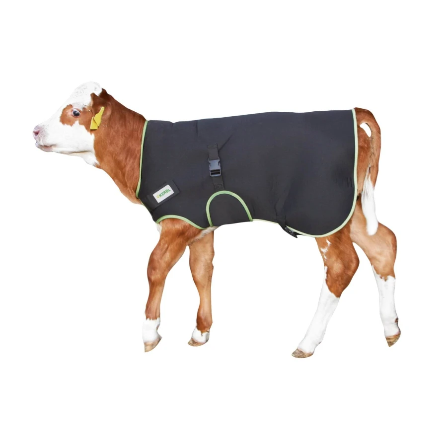 Derka dla cielaka Premium, 70 cm, czarna, Kerbl