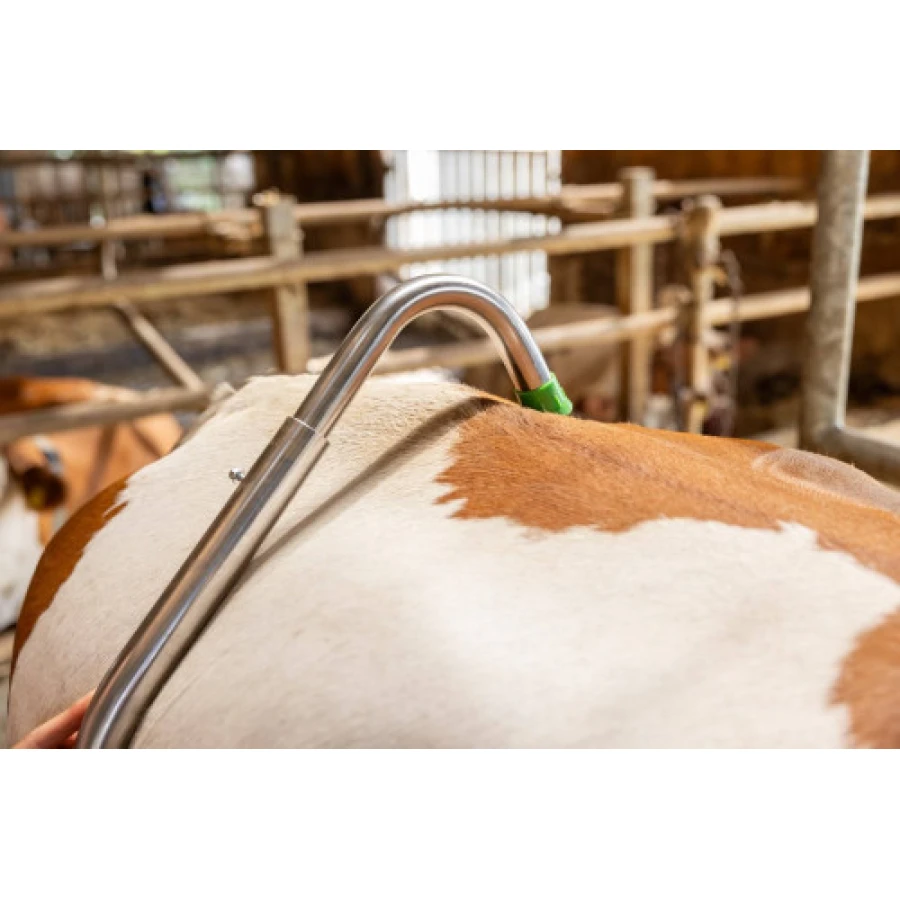 Laska poskromu uniemożliwiająca kopanie, FARMA