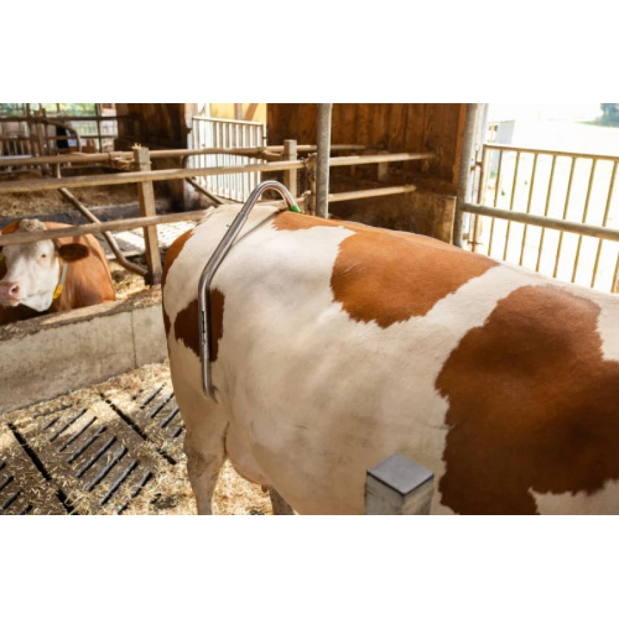 Laska poskromu uniemożliwiająca kopanie, FARMA