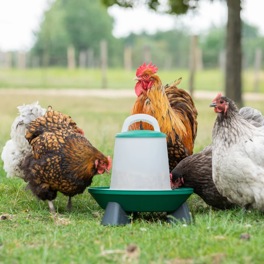 Karmnik 2-poziomowy - z nogami - 3kg, czerwony