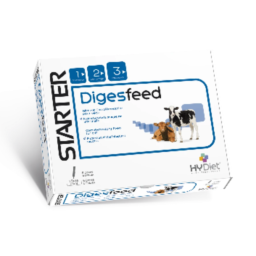 ENERFEED 12 strzykawek, KERSIA