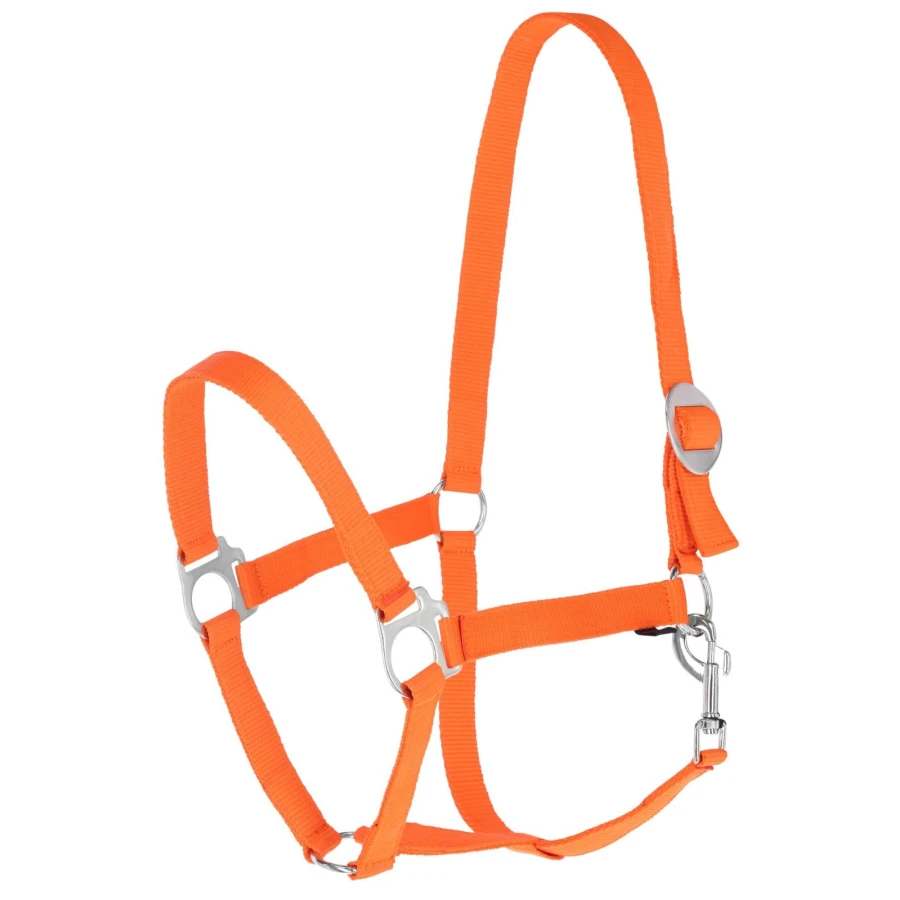 Kantar dla konia Hippo, pomarańczowy, roz 4, Covalliero