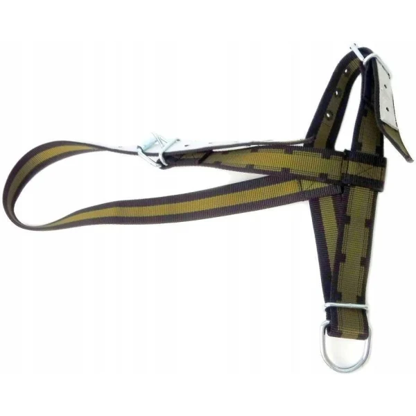 Kantar dla krów,  młodych byków  PROFI kpl. z  D-ring czarno/zielony