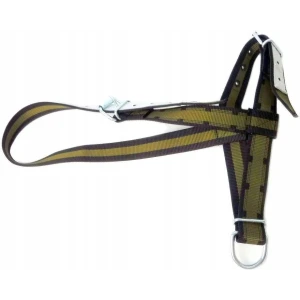 Kantar dla krów,  młodych byków  PROFI kpl. z  D-ring czarno/zielony