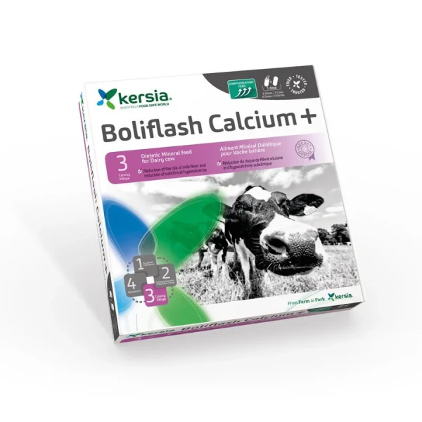 Boliflash Calcium 6 dawek (12 szt.) KERSIA