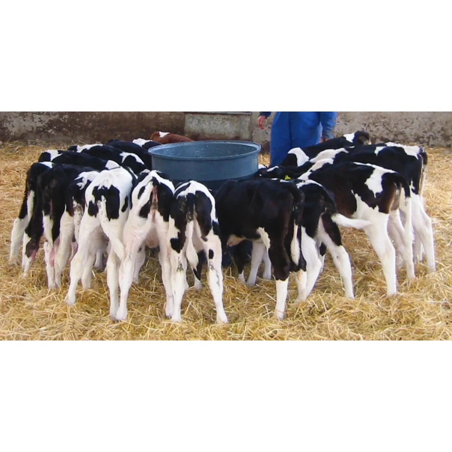 Milk Bar 20 – karmidło dla cieląt 20 smoczków 120L