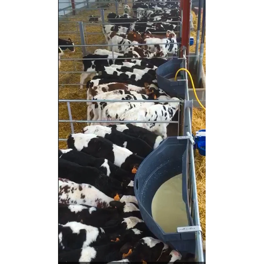 Milk Bar 12, karmidło dla cieląt 12 smoczków