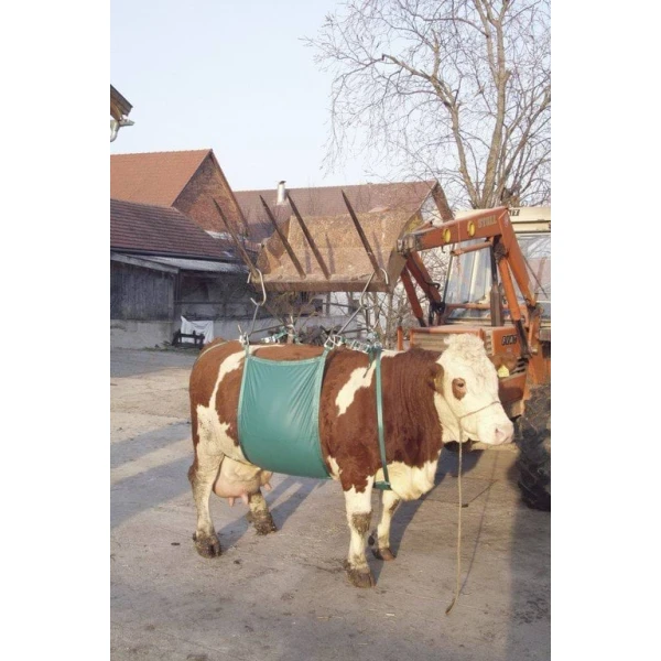 Urządzenie do podnoszenia krów Daisy Lifter, Kerbl