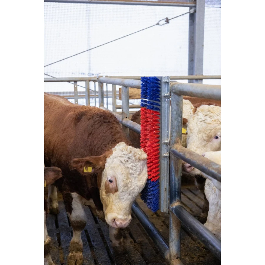 Czochradło dla bydła, HAPPYCOW Bully, Kerbl