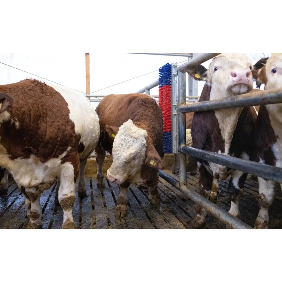 Czochradło dla bydła, HAPPYCOW Bully, Kerbl