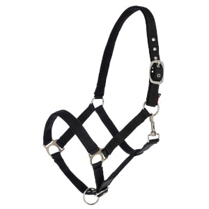 Kantary Dexter dla konia