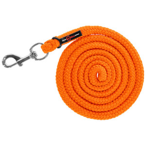 Uwiąz dla konia - zwykły karabińczyk